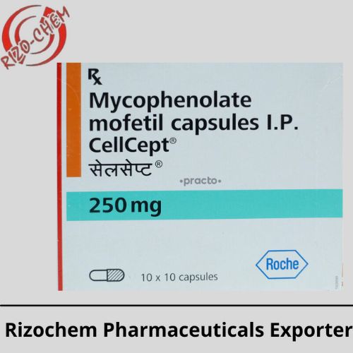 Mycophenolate mofetil Cellcept 250mg Capsule