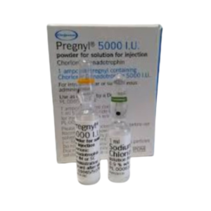 فوائد ابرة pregnyl 5000 للرجال Rizochem Pharmaceuticals