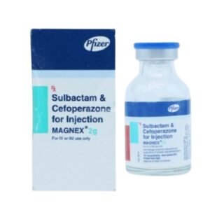 Magnex 2gm Injection Rizochem Pharmaceuticals