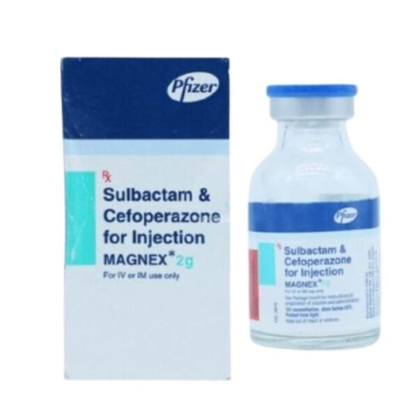 Magnex 2gm Injection Rizochem Pharmaceuticals